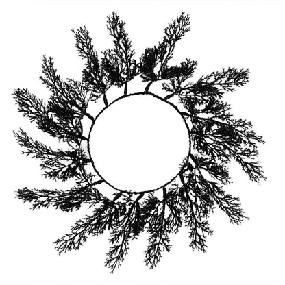  - party supplies and decorations from Party & Pout Australia