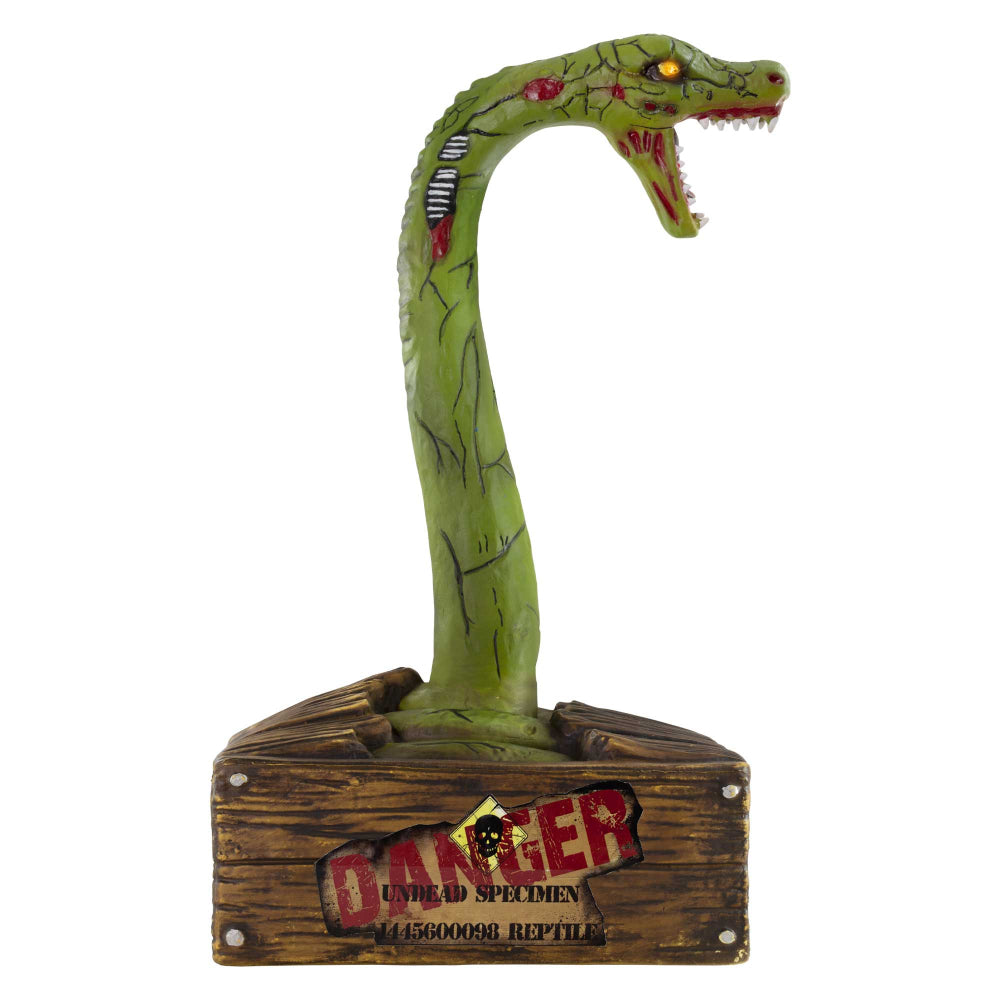  - party supplies and decorations from Party & Pout Australia