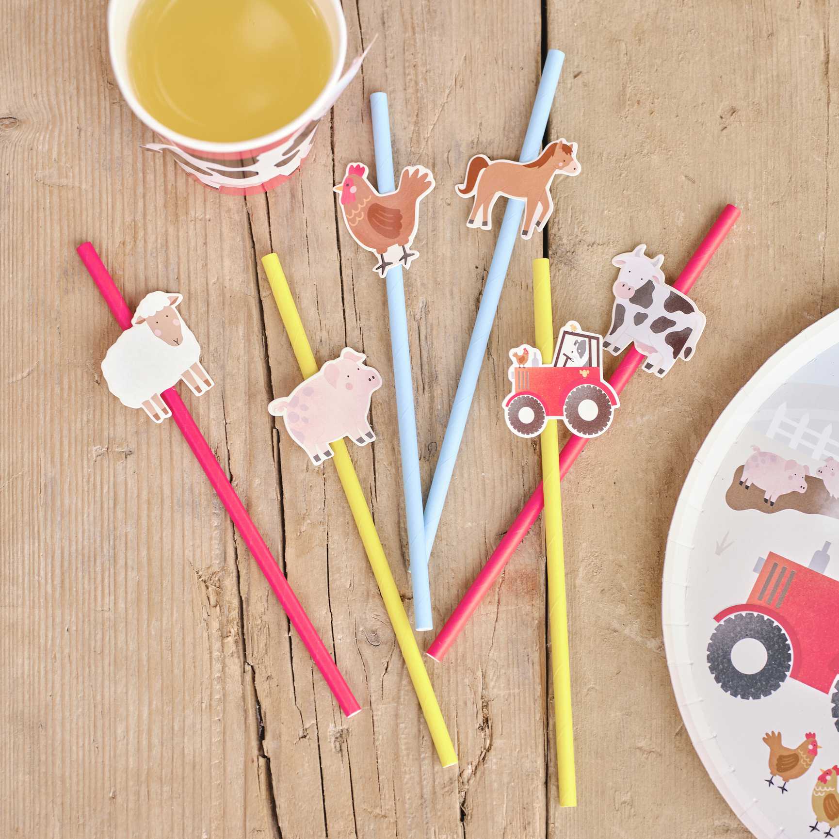 Farm animals paper straws colourful farm party tableware Australia