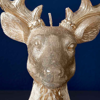  - party supplies and decorations from Party & Pout Australia