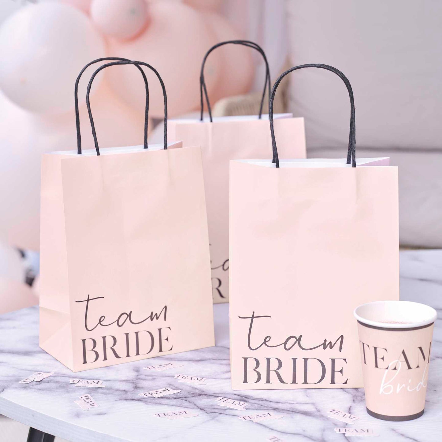 Team Bride paper gift bags for hen party Australia